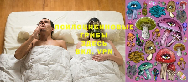 каннабис Майский