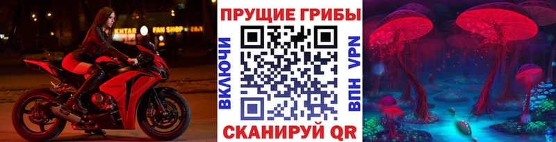 Псилоцибиновые грибы GOLDEN TEACHER где найти наркотики Нерехта